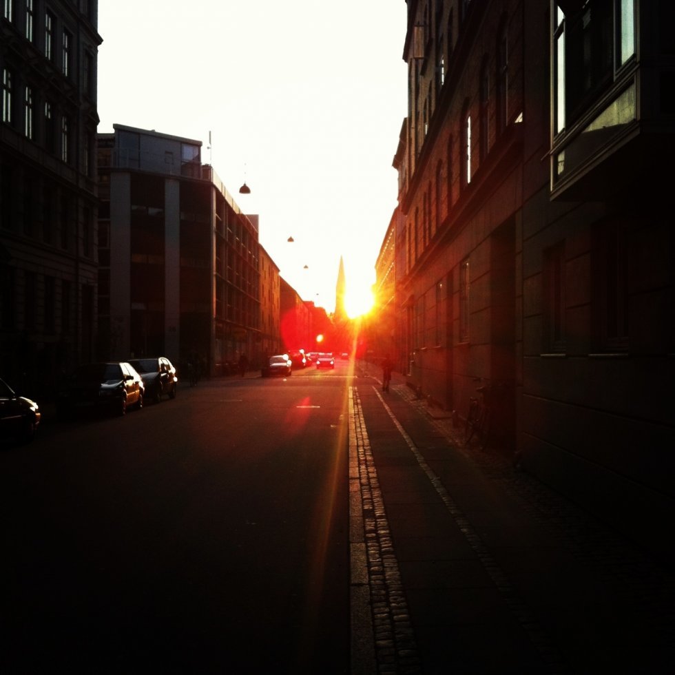 Da jeg cyklede hjem gennem byen fangede jeg dette skønne øjeblik midt på Nørrebro. København er nu smuk om sommeren! - Instagrams fra livet