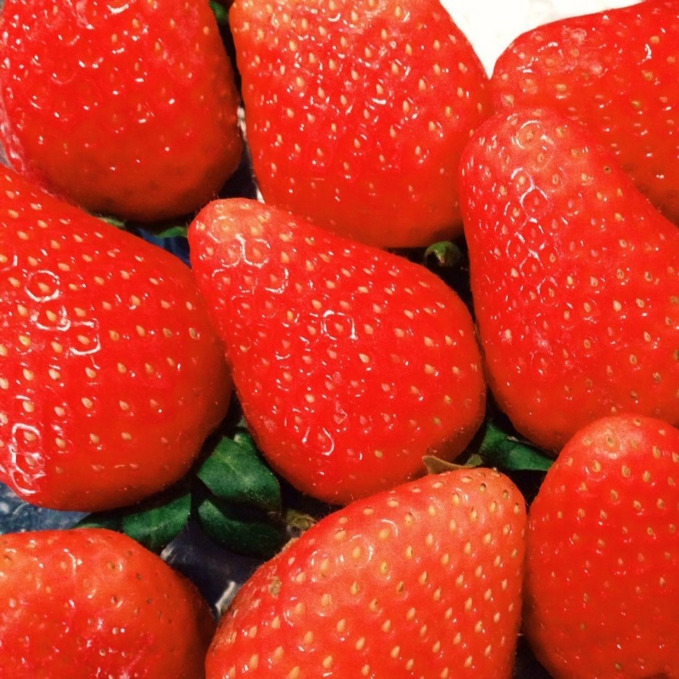 Sådan nogle jordbær smager nu engang bedst om sommeren. - [Konkurrence]: Frugt og grønt på dansk