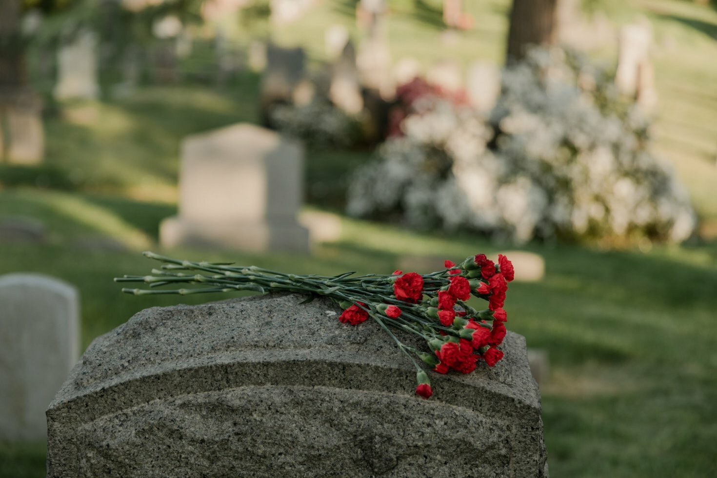 Det skal du vide om begravelser