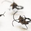 Søde små insektringe fra Anna Moltke-Huitfeldt - Forårets smykker