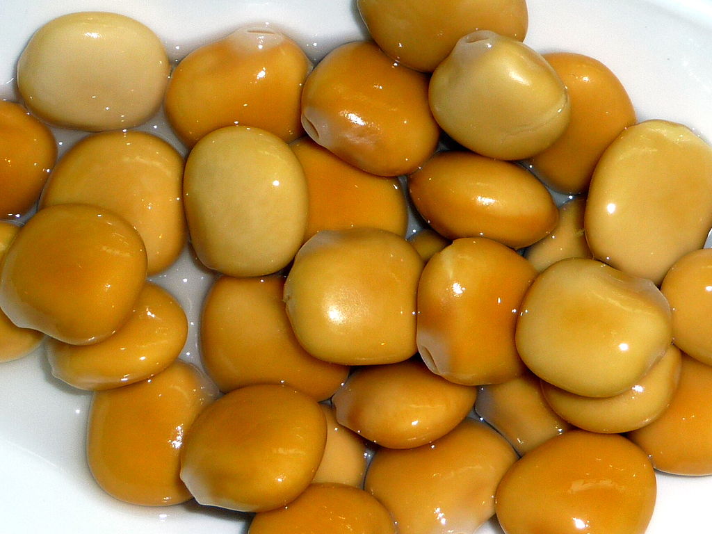 Calapito, Public domain, via Wikimedia Commons